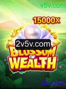 Descubra a Jornada Emocionante de BlossomofWealth